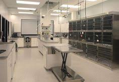 Pet vet animal hospital opening hours. 18 Animal Hospital Ideas In 2021 Animal Hospital Hospital Veterinary Hospital