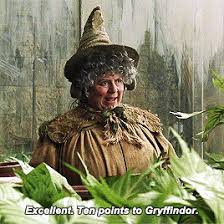 Maybe you would like to learn more about one of these? All The Reasons We Love Professor Sprout Mugglenet