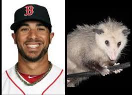 Baseball Look-Alikes