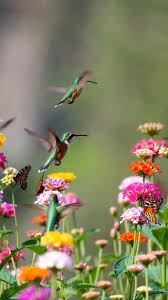 Donna Puga (@donna.puga.2025) • Facebook