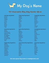 Dog Names Infographic Boy Dog Names Cute Names For Dogs Boy Puppy Names