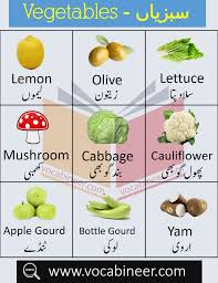 Vegetables Name In Urdu And English With Pictures In 2020 Vegetables Names With Pictures English Books Pdf Vegetables