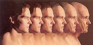 UNIVERSIDAD NACIONAL AUTÓNOMA DE MÉXICO ESCUELA NACIONAL DE ESTUDIOS  SUPERIORES UNIDAD LEÓN TÍTULO: REHABILITACIÓN BUCAL D