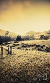 Farmhousedecor Artprint Retro Toned Picture Of A Farmyard In Tasmania Misted In A Shroud Of Distant Fo Photography Wall Art Art Gallery Wall Landscape Art