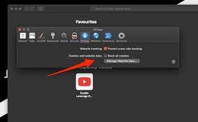 Step 3 click scan and after scanning, choose a browser, for example, google chrome. How To Block Or Allow Browser Cookies In Safari Mac
