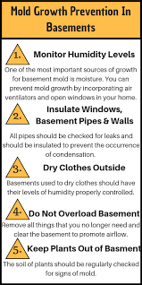 How to stop mold growth in basement. 5 Best Ways To Prevent Mold In Your Basement Enviroklenz