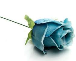 Maybe you would like to learn more about one of these? Teal Silk Flowers Etsy