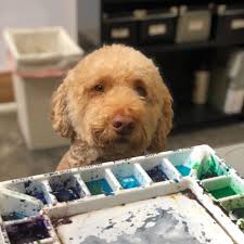 Curious Creatives at the Monarch