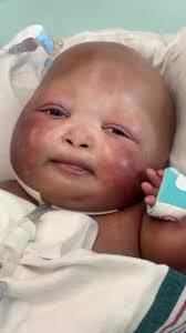 Gabriel Williams Lousiana