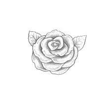 How to draw a skull. Use Ink Liners To Create A Skull And Roses Drawing