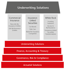 Insurance underwriters determine when insurance applications will be accepted and establish premiums on insurance policies. Underwriting Solutions
