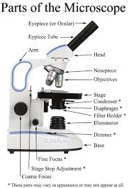 All models have 30 head angles. How To Buy The Right Microscope Greatscopes