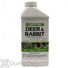 Who knew the short burst of heat we had last week would produce such abundance of color in your garden. Deer Repellent Control Liquid Deer Fence Spray To Keep Deer Out Domyown Com