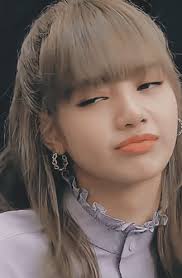 Lisa Sorry Its A No GIF