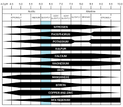 File Soil Ph Effect On Nutrient Availability Svg Wikimedia