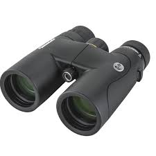 Nature DX ED 10×42 Binoculars | HOBBYHK TELESCOPE