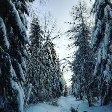 Stánek maliník, #1 among bedřichov fast food: Malinik Instagram Posts Photos And Videos Picuki Com