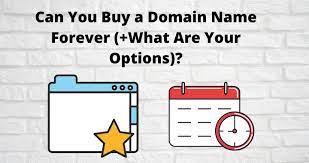 Domain name registration is done on a yearly basis. Can You Buy A Domain Name Forever What Are Your Options