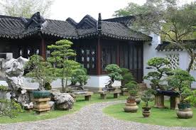Bonsais At The Chinese Garden Zen Garden Design Patio Garden Design Japanese Garden