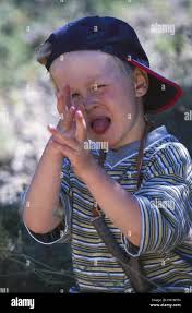 Poux jack Banque de photographies et d'images à haute résolution