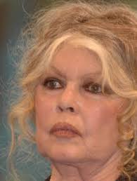 Les contacts sont difficiles" : Brigitte Bardot cash sur sa relation avec  ses arrières-petits-enfants
