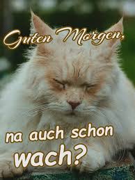 Guten morgen montag bilder kostenlos. Guten Morgen 49 Bilder Fur Mein Schatz Lustig 2019