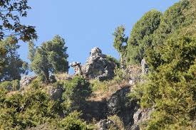 A camelback mountain hike is a great way to experience scottsdale, arizona. Road Shaped Like A Camel S Back Around The Hill Review Of Camel S Back Road Mussoorie India Tripadvisor