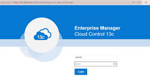 Oracle Enterprise Manager