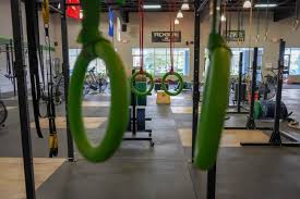 gymnastic rings for home or garage gym