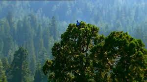 You will have enough time to answer the questions during the video. Bbc Two How To Grow A Planet Life From Light