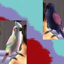 Pets. here are some helpful tips to get them to breed faster. Mod The Sims 5 More Parrots