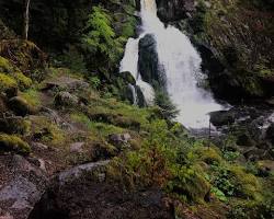 Immagine di Triberg Waterfalls