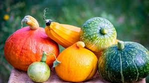Tienen una piel rugosa y en alguna variedad lisa, de color verde amoratado y su pulpa es de textura mantecosa. La Calabaza De Temporada Y Sus Tipos Caracteristicas Propiedades Y Como Cocinar La Hortaliza Reina Del Otono Agroempresario Com