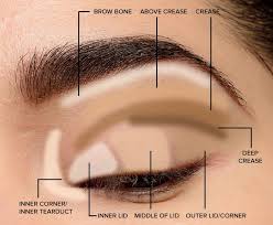Where To Apply Eyeshadow Eye Makeup Diagram 2020 Basic Eye Makeup Natural Eye Makeup Eye Makeup Steps