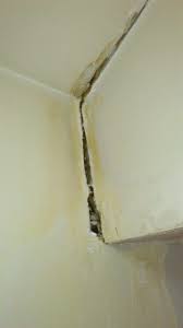 Usually ceiling damaged by termites looks like it is slightly damaged by water. 10 Most Common Causes Of Damage To Drywall