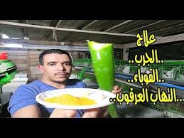 علاج الجرب والقوباء والتهاب العرقوب بطريقة بسيطة جدا ومفيدة لصحة الارانب youtube