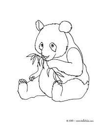 Pin By Cassandra Marise On Tiger Tribe Animal Colouring Pages Panda Coloring Pages Bear Coloring Pages Animal Coloring Pages