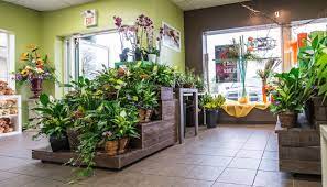 We provide same day flower delivery service within london and the surrounding areas and meet worldwide floral delivery needs through the teleflora and ftd network of retail florists. Forest Of Flowers Tourism London