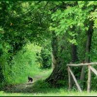 'i knew i could make her look perfect': Sandra Busatta Academia Edu