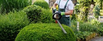 Our home maintenance service is very popular all year round but especially popular at summer end. Home Gardening Services Home Gardening Services Green Garden Services Delhi Id 23406342762