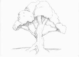 Pin On Sketch