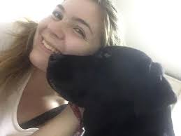 Gato, PerroGuardería para mascotas en Sintra, Lisboa, Madrid