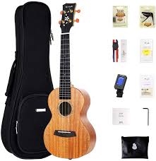 Ukulele players all over the world have direct access to ukutabs its large and completely free curated song archive which is constantly being updated with new songs. Concert Ukulele Enya Euc Ms All Solid Mahogany 23 Inch Beginner And Professional Ukuleles With Gig Bag Amazon Co Uk Musical Instruments Dj
