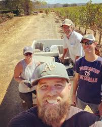 Barlow Vineyards (@barlowvineyards) • Instagram photos and videos