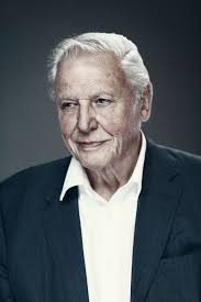 Boris johnson sends birthday wishes as he thanks great naturalist broadcaster and natural historian sir david attenborough has turned 95 today sir david and the pm worked together on the un climate change conference Sir David Attenborough By Ian Derry For The Radio Times Portrait David Attenborough Celebrity Portraits