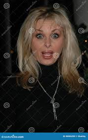 Chad Allison Designs Stock Photos