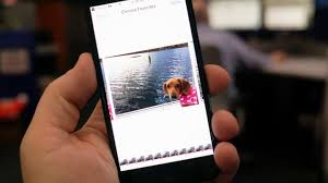 The camera will automatically take burst photos. How To Take Action Shot On Your Apple Iphone
