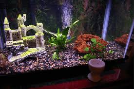 Really cool aquarium decoration ideas for your fish tank. Diy Aquarium Decorations Homemade Aquarium Decorations Mrtoppet Com My Pet Blog