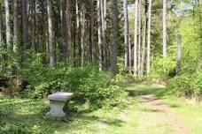 October Volunteer Work Session — Pound Ridge Land...