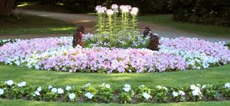 Burg / schloss, park, botanische gärten. Botanischer Garten Landeshauptstadt Dresden